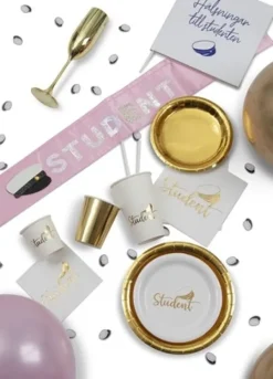 Pappersservetter-Student Servetter 16-pack, 33 cm