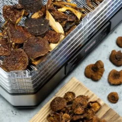 Torkugnar-TORK FÖR SVAMP FRUKTÖRTER KLAUSBERG KB-7569