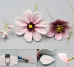 Utrustning För Tårtdekoration-Tusensköna Daisy Petal Veiner