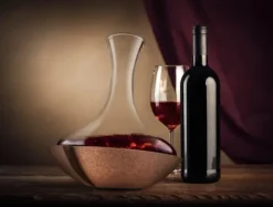 Karaffer-VACUVIN Carafe Swirling Vacuvin