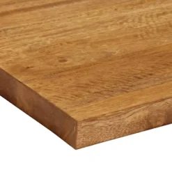 vidaXL Bordsskiva 50x40x3,8 cm rektangulär massivt mango-trä