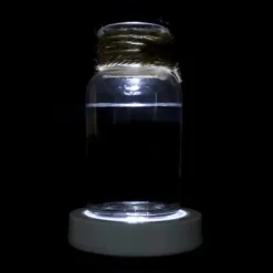 Glasunderlägg-Vinglasunderlägg med LED-ljus och växlande skal, vitt ljus, inget batteri ingår