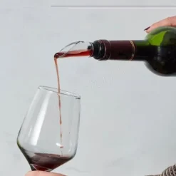 VinKylare 2-i-1 - SHOP-STORY - VINKYLANDE - Rostfritt Stål - Inbyggd Luftare - Hällspout