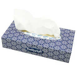 Vita näsdukar i ask, 2 lager, 100 st