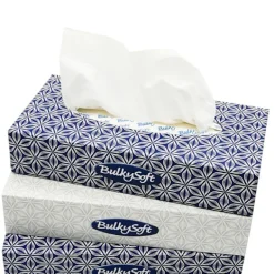 Vita näsdukar i ask, 2 lager, 100 st